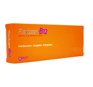 FLEXICAM B12 X AMPOLLA