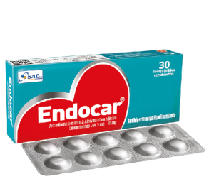 ENDOCAR X COMPRIMIDOS