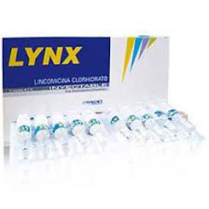 LYNX 600  MG/2 ML AMPOLLA