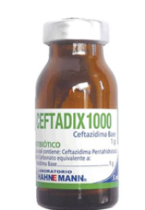 CEFTADIX 1 G