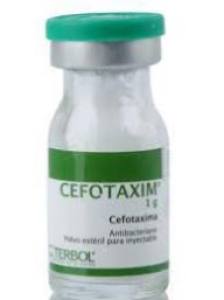 CEFOTAXIM 1GR X VIAL -  TERBOL