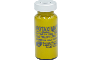CEFOTAXIMA 1000 PRODEXA VIAL IFA