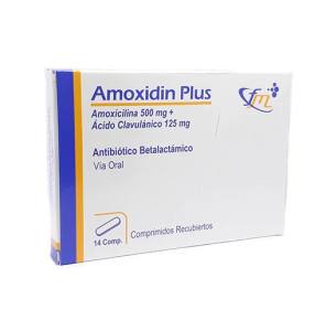 AMOXIDIN PLUS 500MG/125MG X COMP.