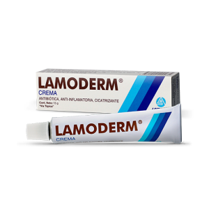 LAMODERM CREMA X 15 GR LAMOSAN