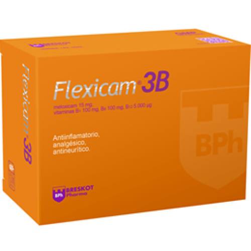 FLEXICAM 3B X COMP. RECUB.